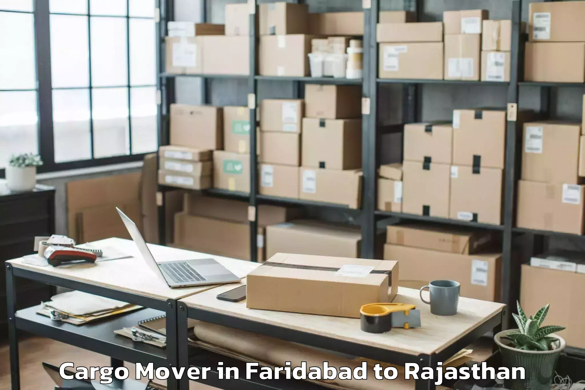 Professional Faridabad to Chittorgarh Cargo Mover